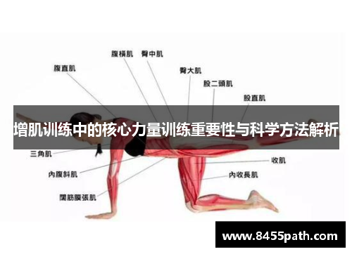 增肌训练中的核心力量训练重要性与科学方法解析