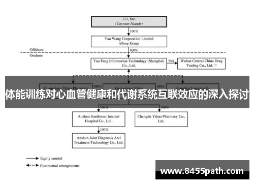 体能训练对心血管健康和代谢系统互联效应的深入探讨